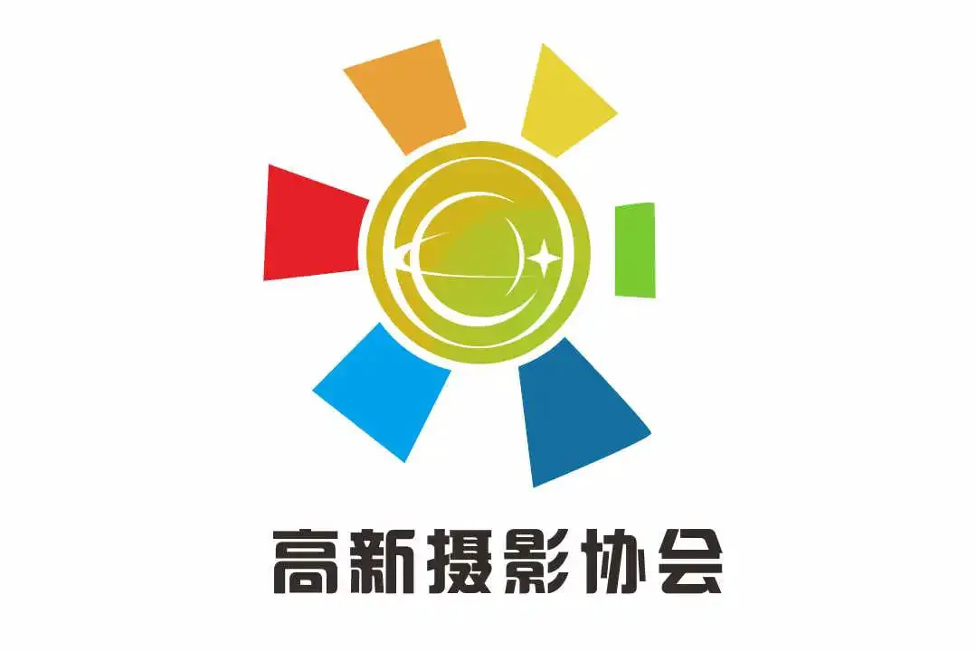 篮球协调训练的成功案例分析_0